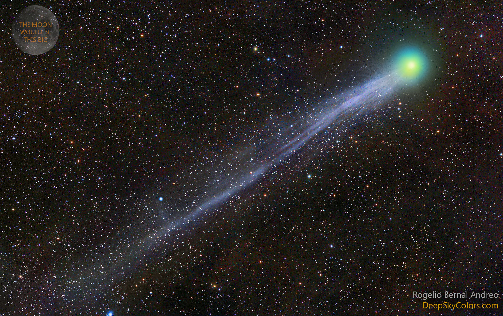 La queue de la comète Lovejoy