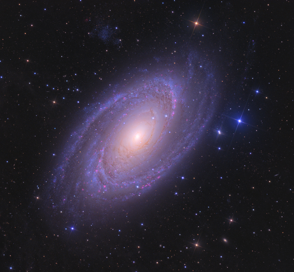 La brillante galaxie spirale M81