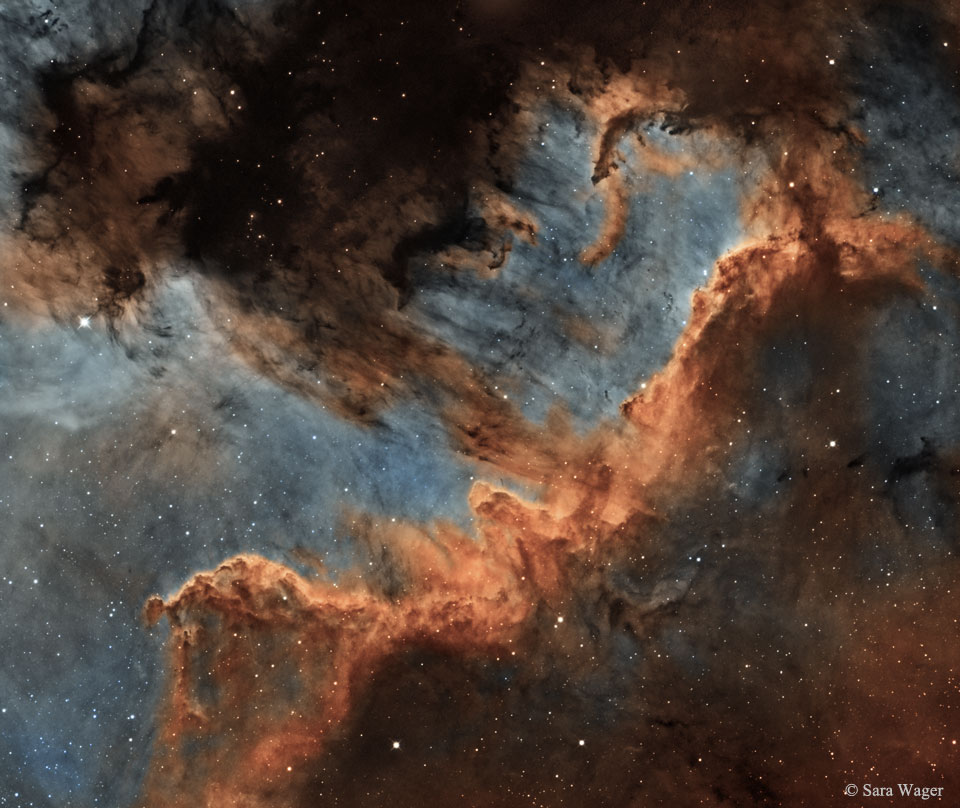 Le mur de formation stellaire du Cygne