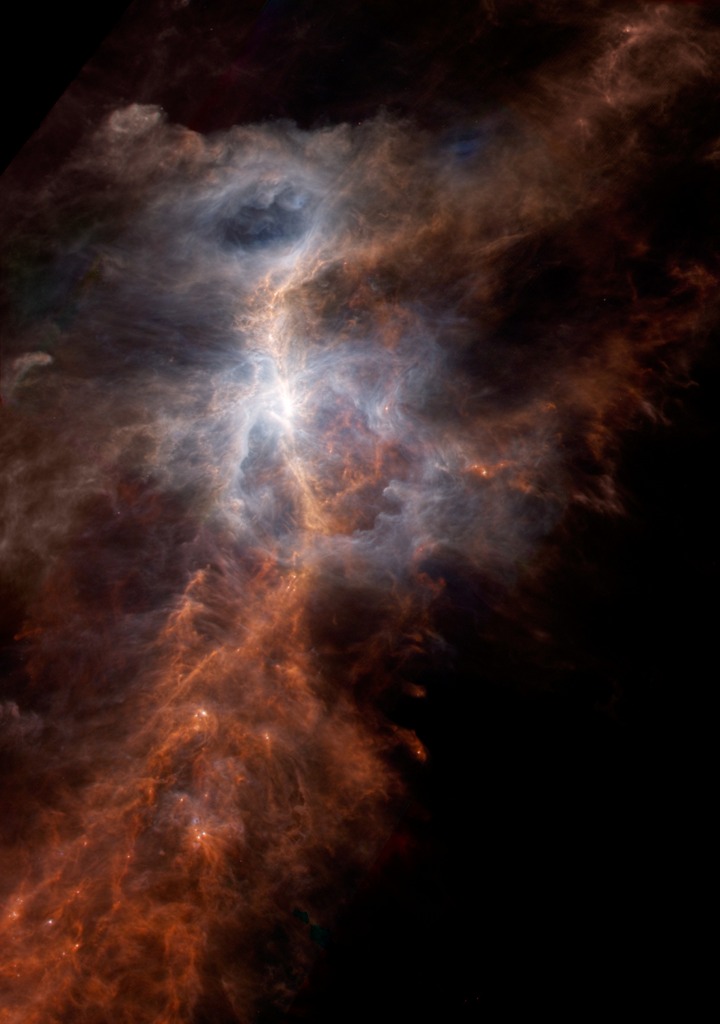 Orion vue par Herschel