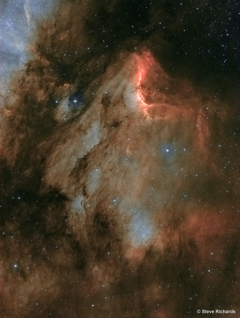 IC 5070, un Pélican de poussières dans le Cygne
