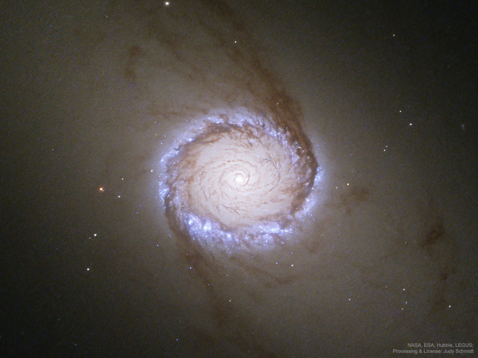 L\'anneau nucléaire de NGC 1512
