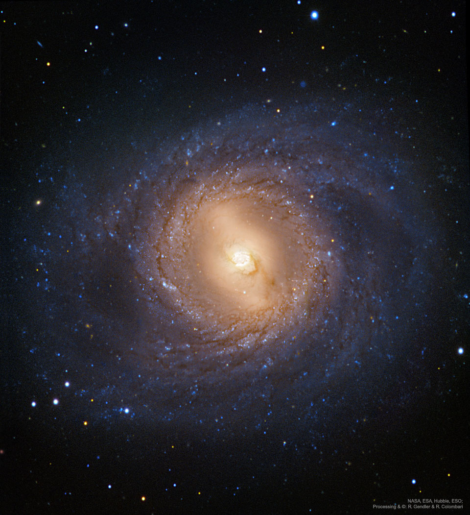 M95, galaxie spirale dotée d\'un anneau central