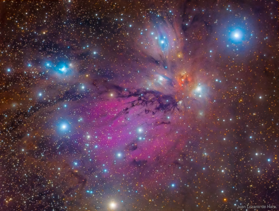 Nature morte de NGC2170, la nébuleuse de l\'Ange