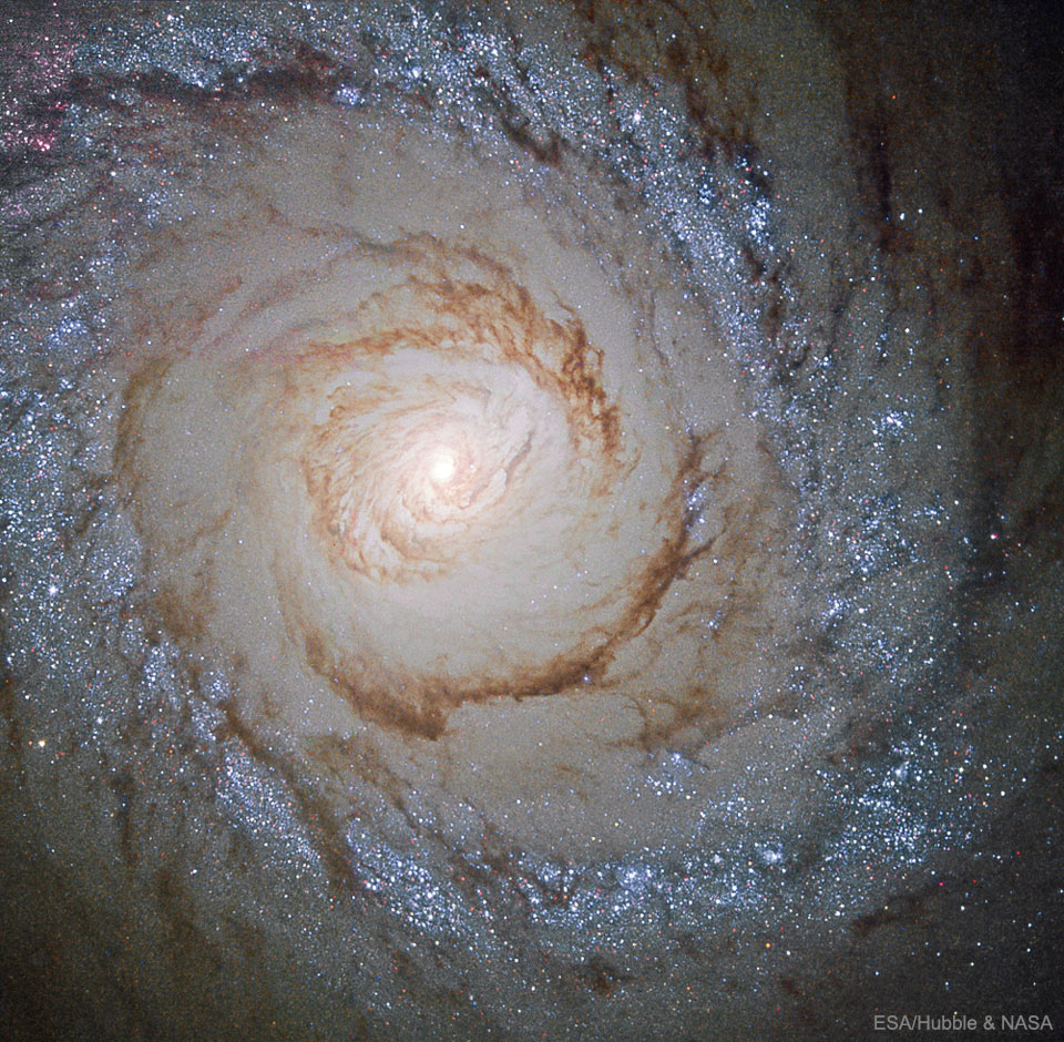 M94, galaxie à sursauts de formation d\'étoiles