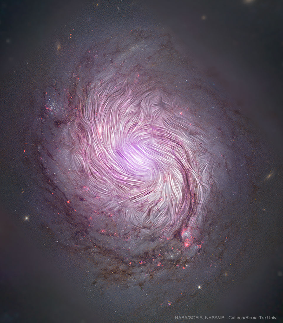 Les champs magnétiques de la galaxie spirale M77