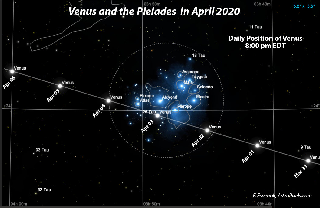 Ne manquez pas le passage de Vénus devant les Pléiades