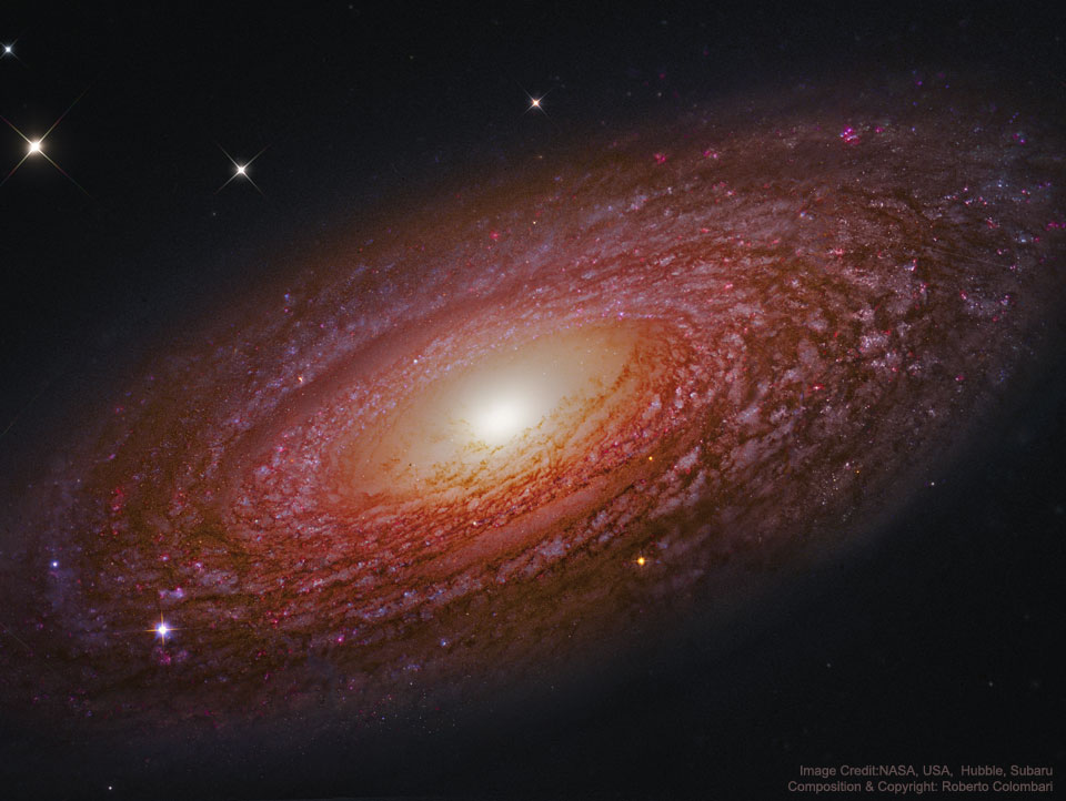 La proche et massive galaxie spirale NGC 2841