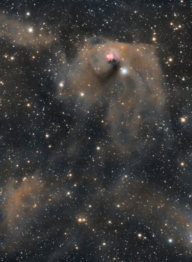T Tauri et la nébuleuse variable de Hind