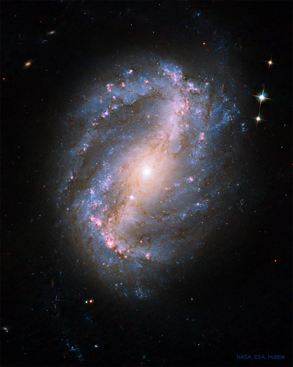 La galaxie spirale barrée NGC 6217