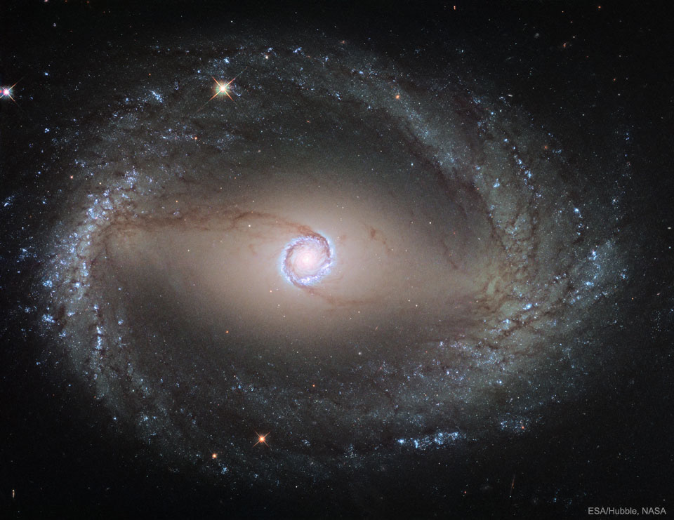L\'anneau interne de NGC 1512