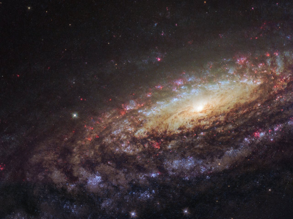 Gros plan sur NGC 7331 - La galaxie spirale NGC 7331 est un bon analogue de notre Voie Lactée, à une distance de 50 millions d\'années-lumière dans la constellation de Pégase