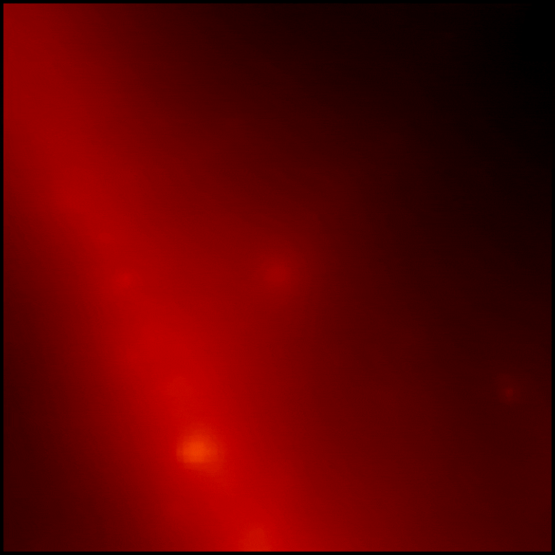 Le sursaut gamma GRB 221009A