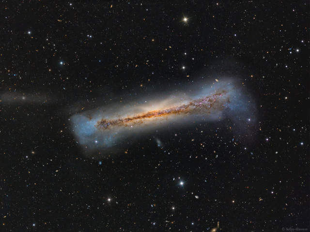 Un portrait de NGC 3628