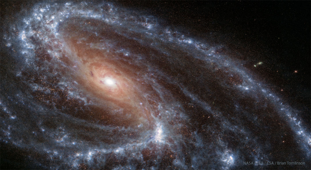 L\'insolite galaxie spirale M66 vue par le télescope spatial James Webb