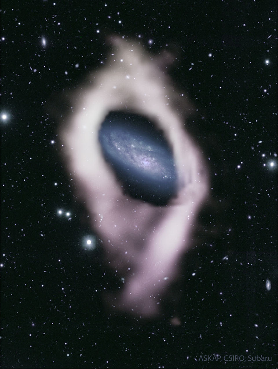 NGC 4632, galaxie à l\'anneau polaire caché