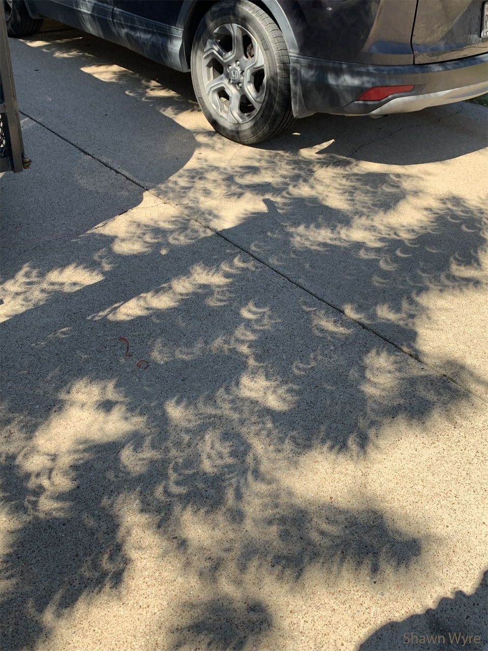 L\'arbre à éclipses