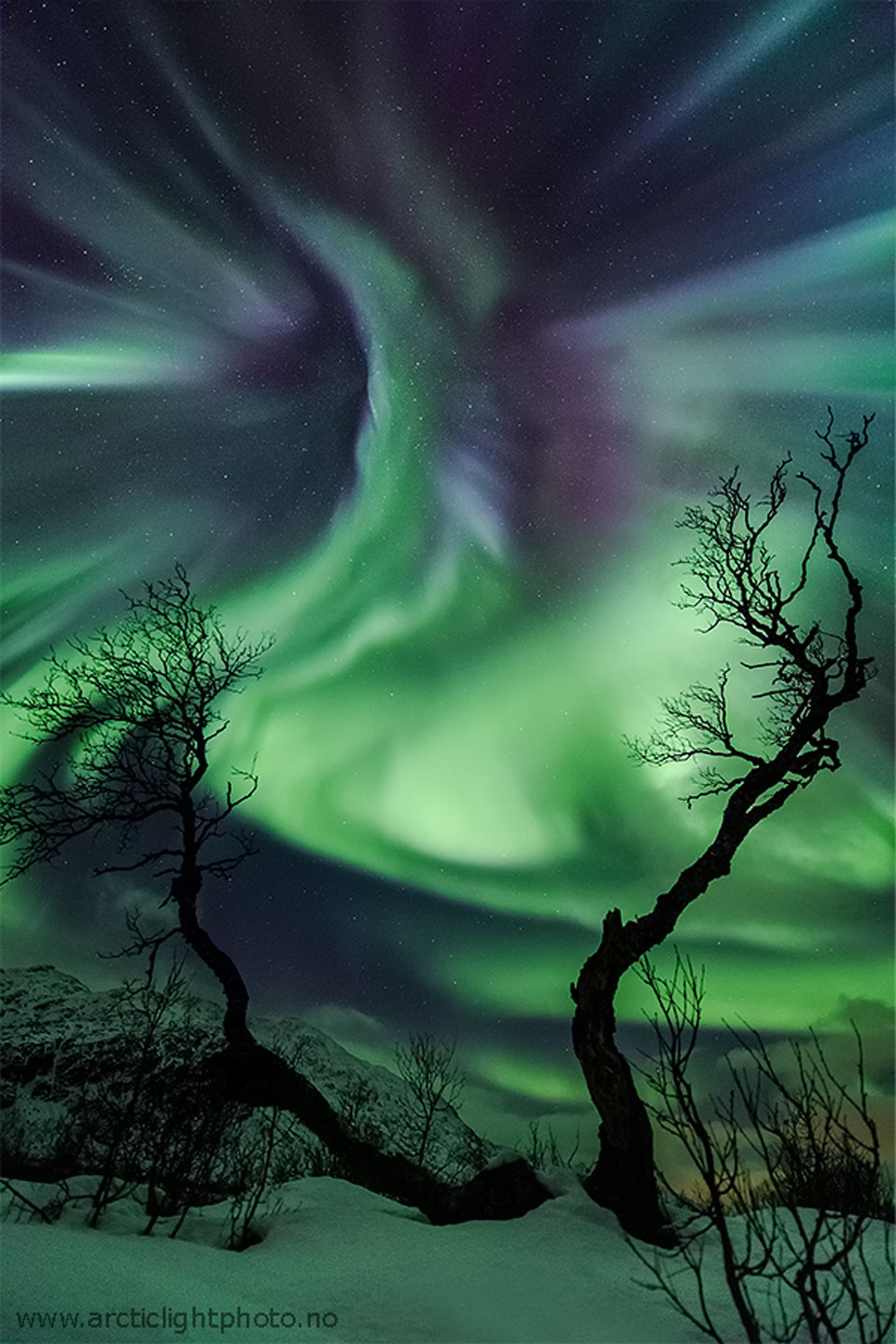 Créature aurorale sur la Norvège