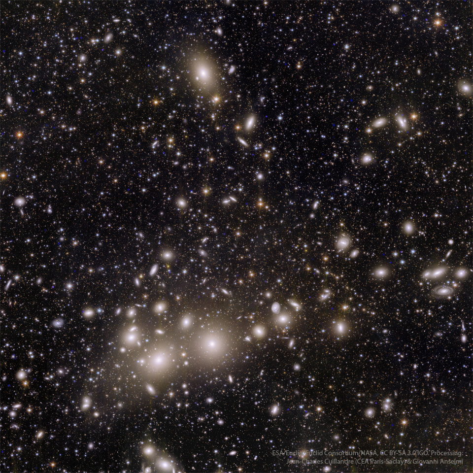 L\'amas de galaxies de Persée vu par Euclid