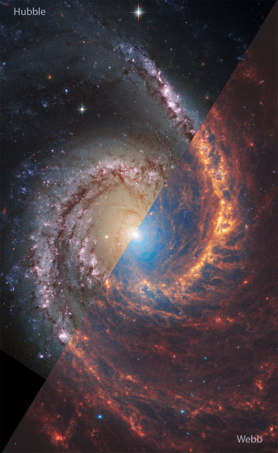 NGC 1566 par Webb et Hubble