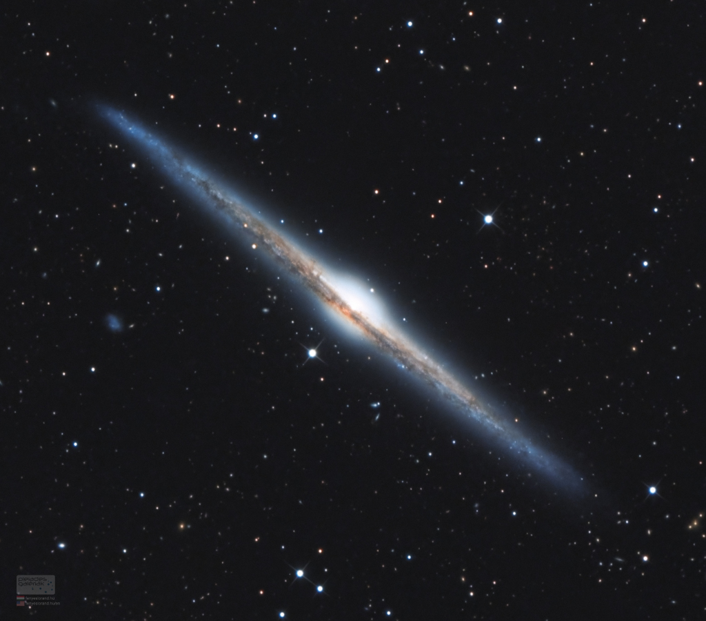 NGC 4565 vue par la tranche