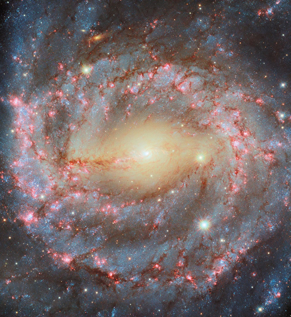 La grande spirale NGC 5643