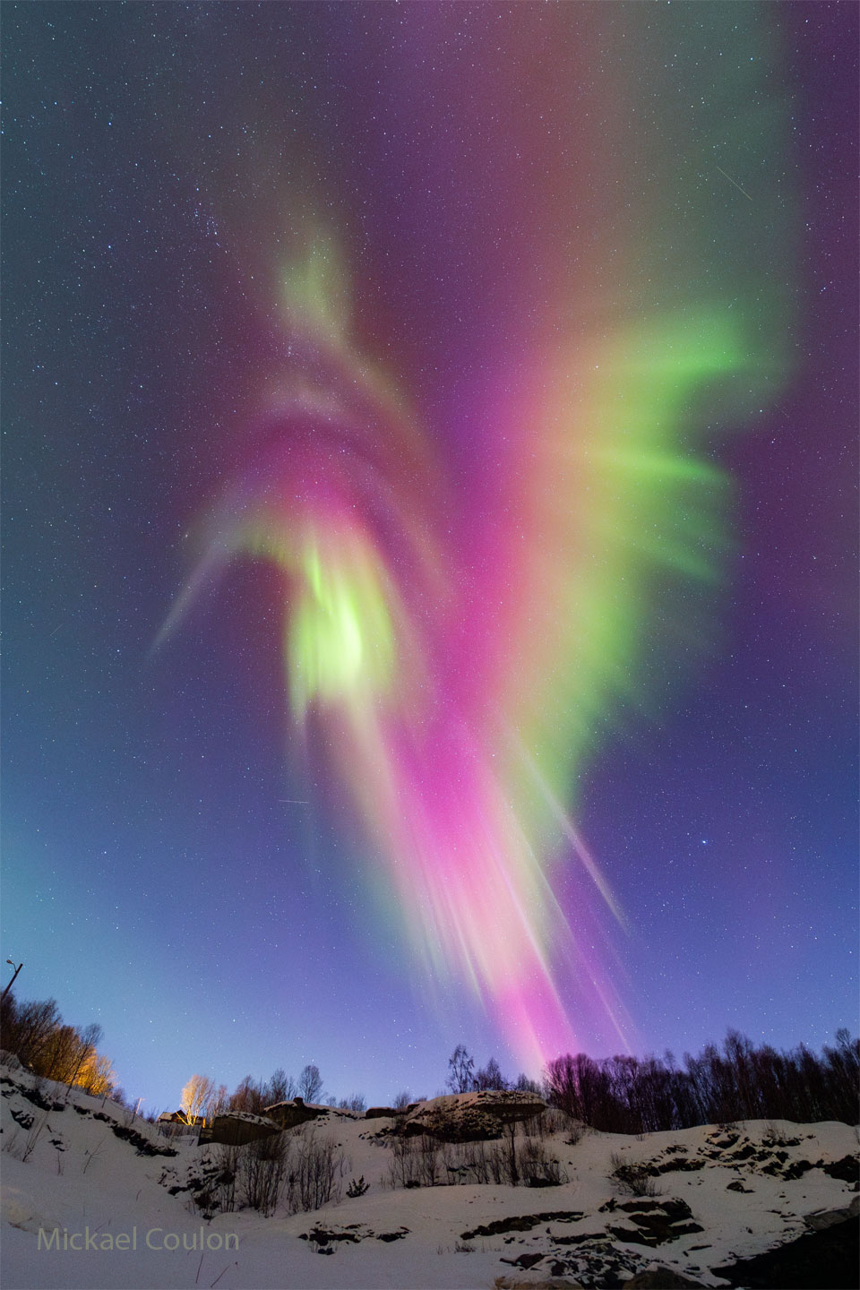 Colibri auroral sur la Norvège