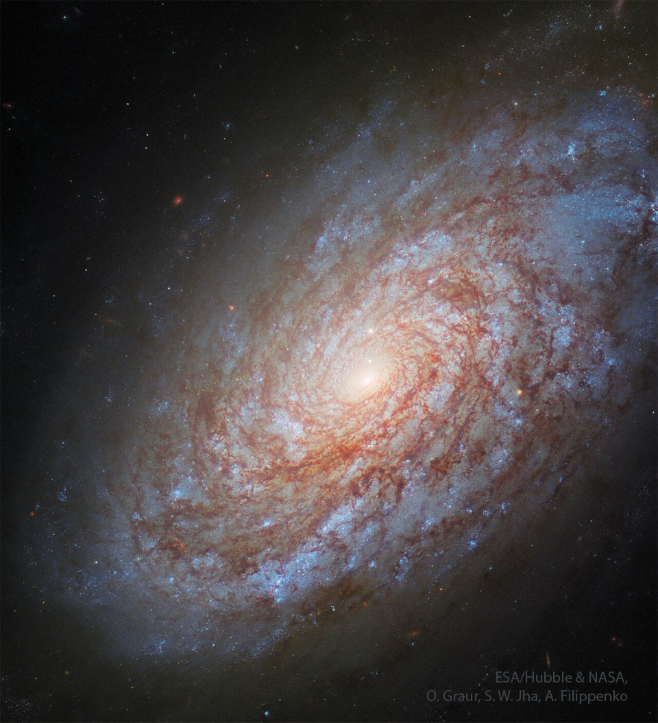 NGC 4414, galaxie spirale cotonneuse
