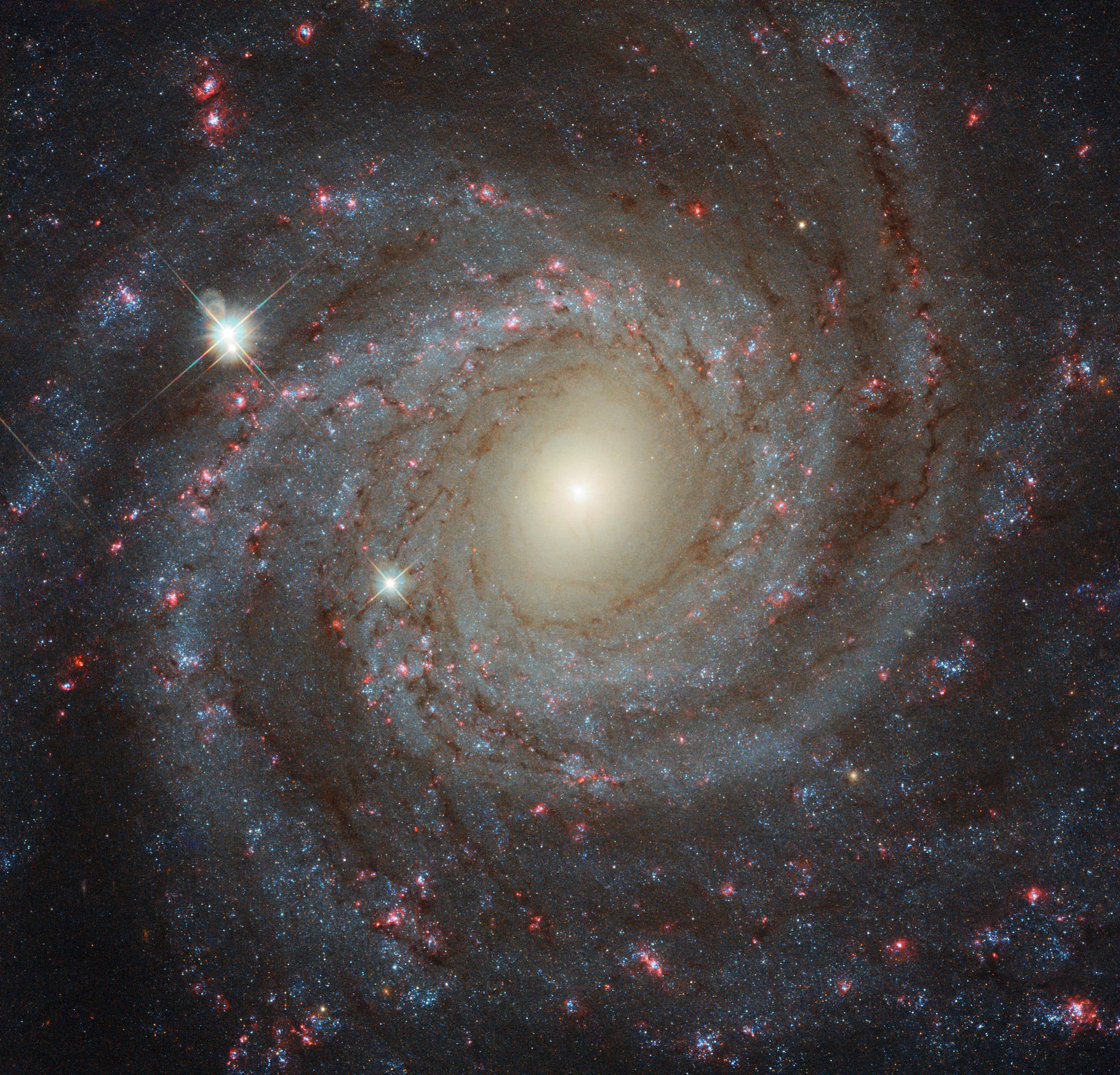 Face à NGC 3344