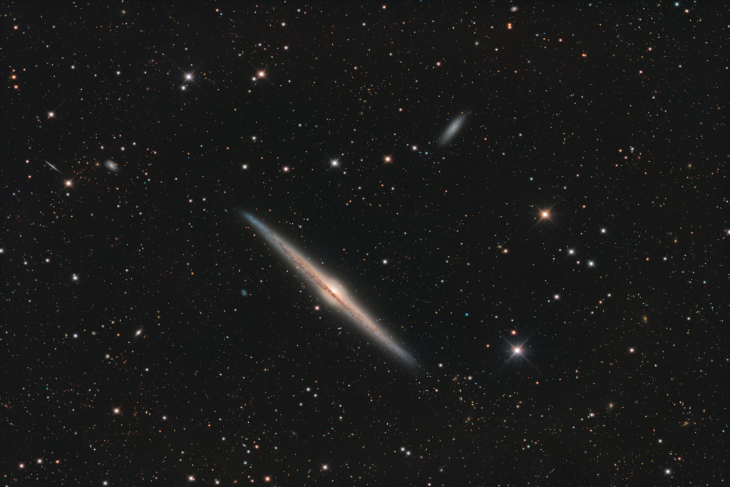 NGC 4565