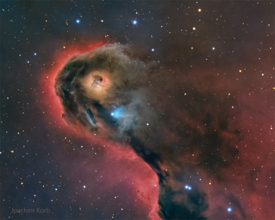 Globule insolite dans IC 1396